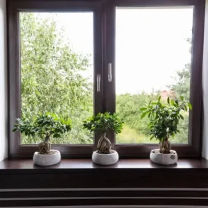 prislusenstvo referencie