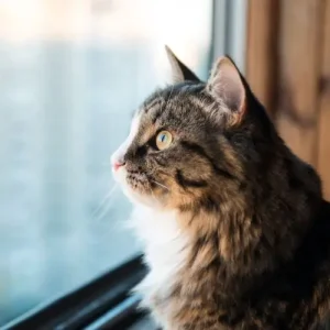 PEKOProf okna dvere realizacie