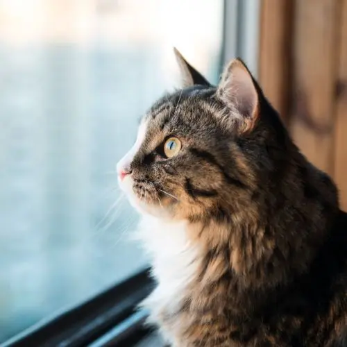 PEKOProf okna dvere realizacie