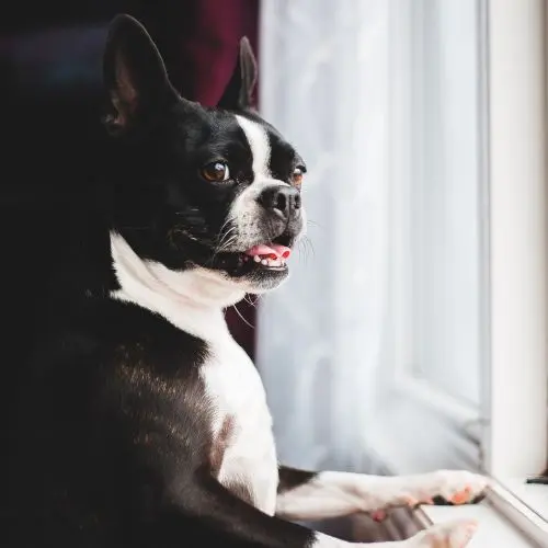 PEKOProf okna dvere referencie7